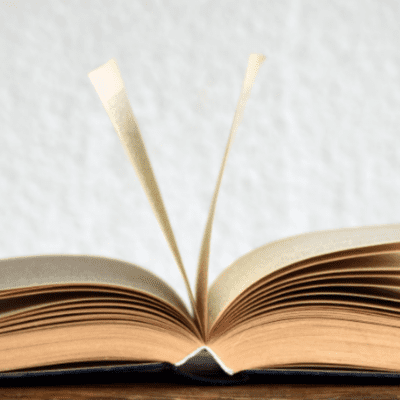 Exploring the 12-Step Program in Rehabilitation