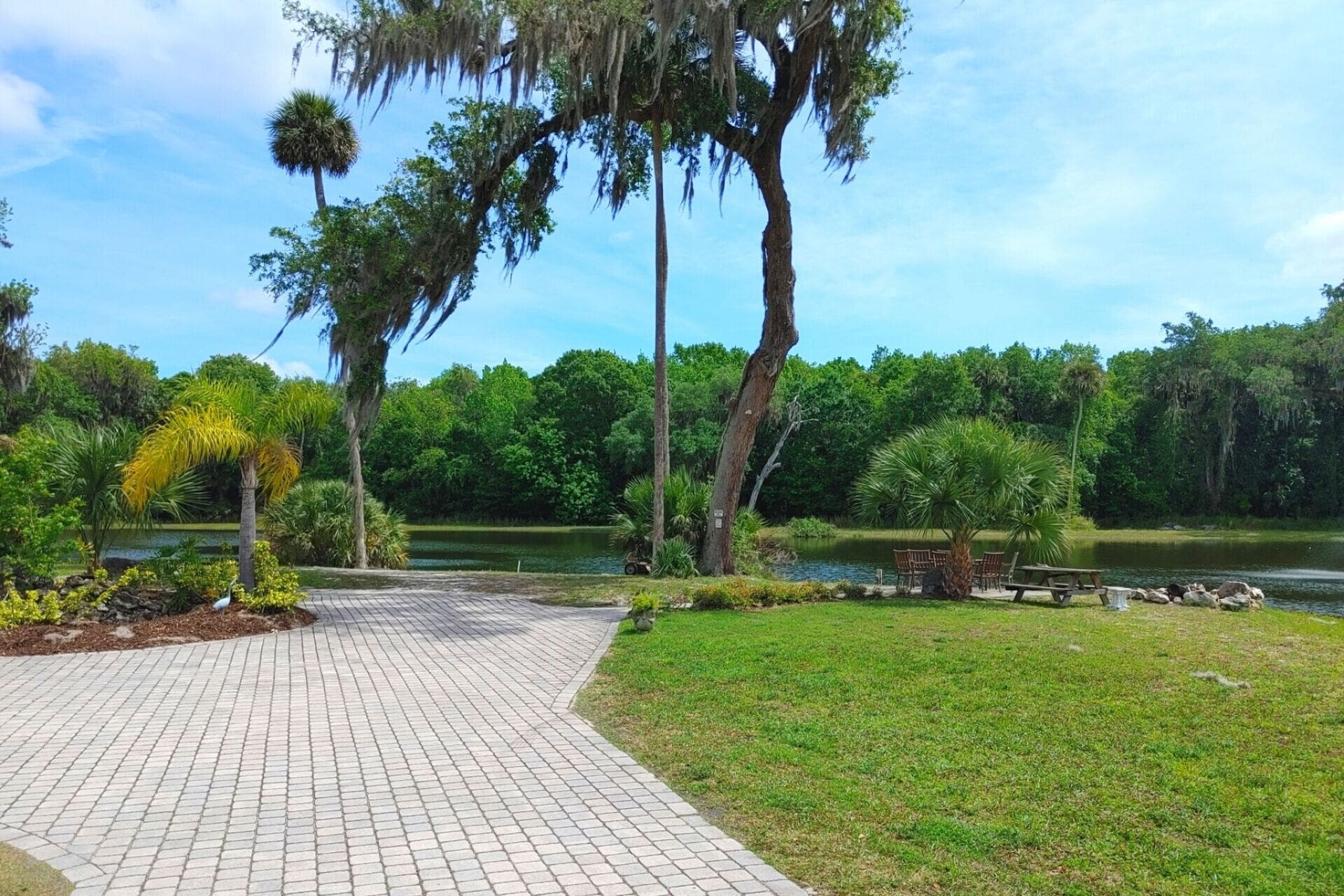 Palm trees on site at our drug rehab